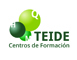 Logo TEIDE
