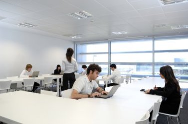 Ingenieros Informáticos