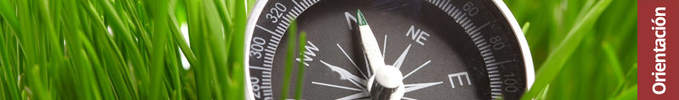 Orientación