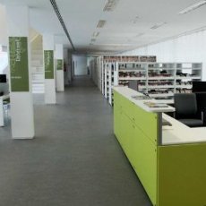 Biblliotecas municipales